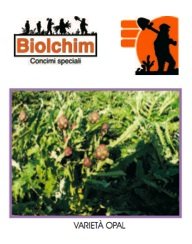 Per la coltivazione del carciofo Biolchim propone una gamma completa di prodotti ad hoc